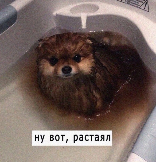 Растаял)