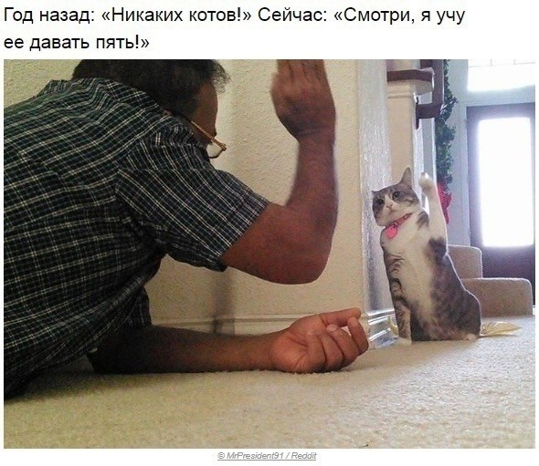 Животные, которые "совершенно не нравятся"