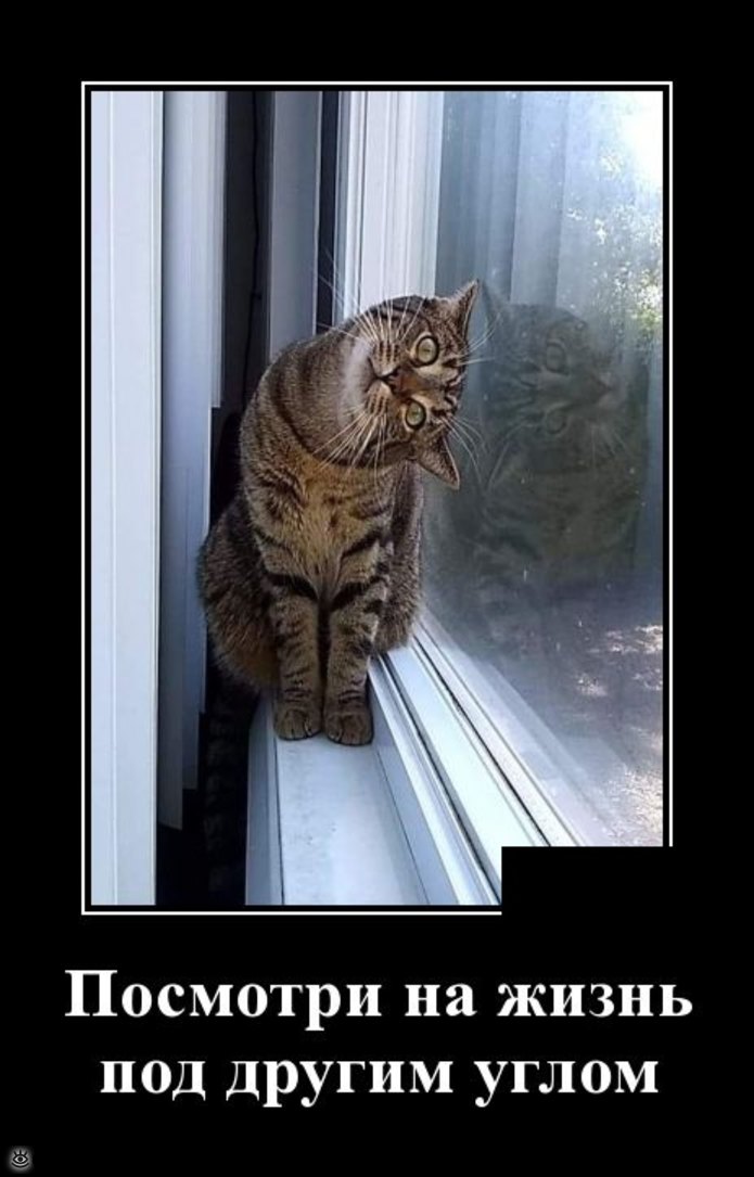 Фразы про море. Училка геометрии. Под любое под хорошее. Море лучший психолог. Шутки про учителей.