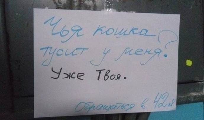 Коты настолько самодостаточны, что для них и про них уже сочиняют объявления