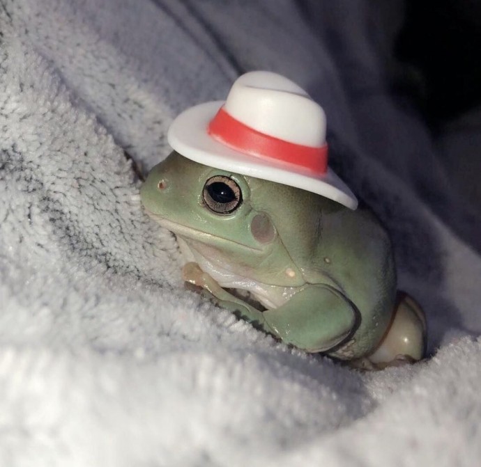 Легендарная шляпная вечеринка