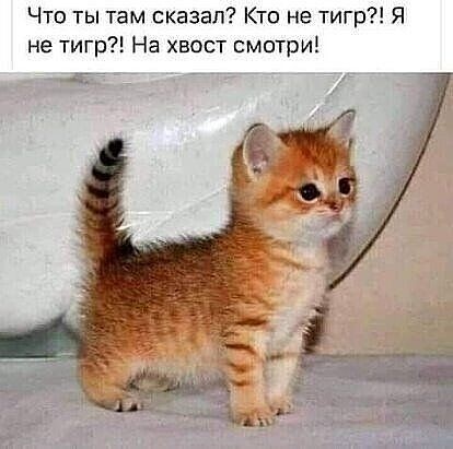 Настроение-Пятница!