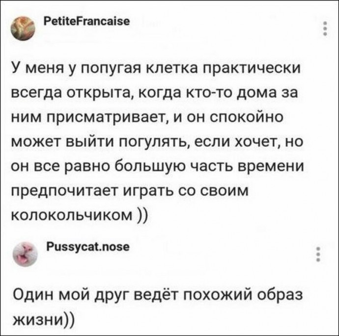 Немного юмора не помешает