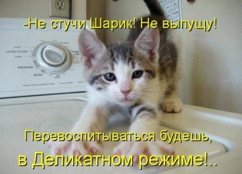 Смешные моменты из жизни