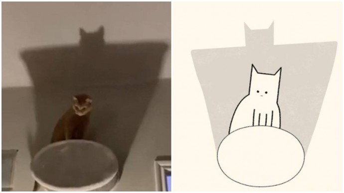 Кото-минимализм