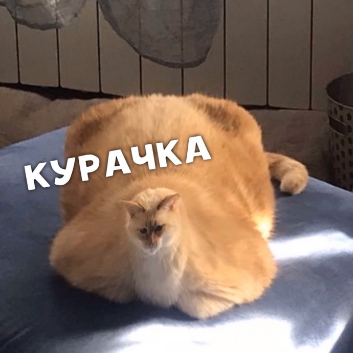 Скоро новый год