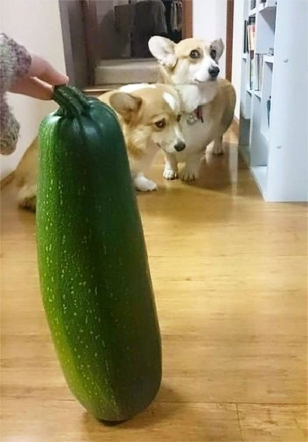 ����� ������, �������-�� �������� ���� � ������������. 1