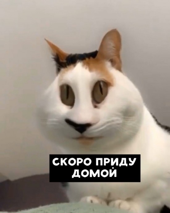 Мысли, которые греют душу