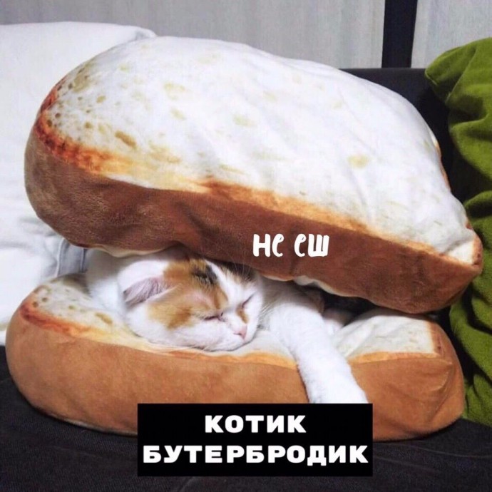 Порция тотемных котов. Выбери своего.