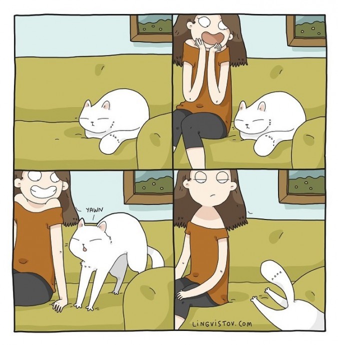 Типичная жизнь с котом