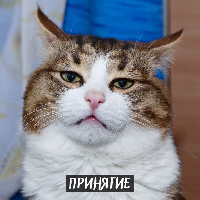 Неделя это...
