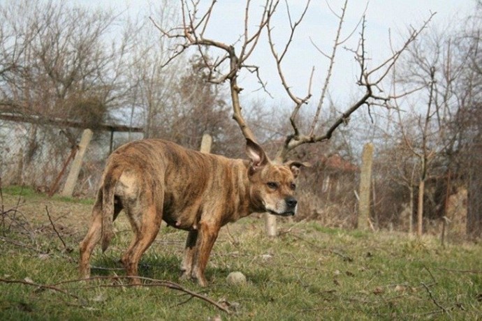 Внимательнее присмотритесь, прежде чем делать выводы