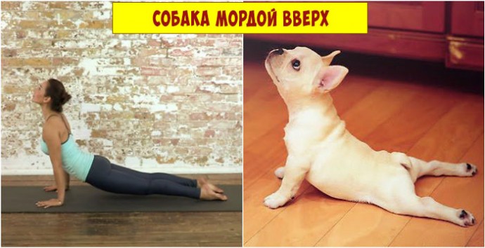 Йога