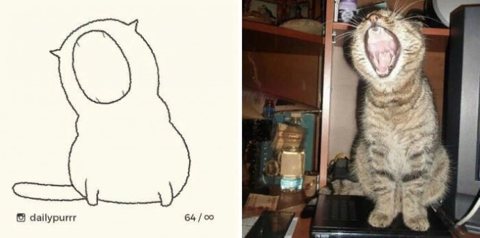 Рисовать котов – это искусство
