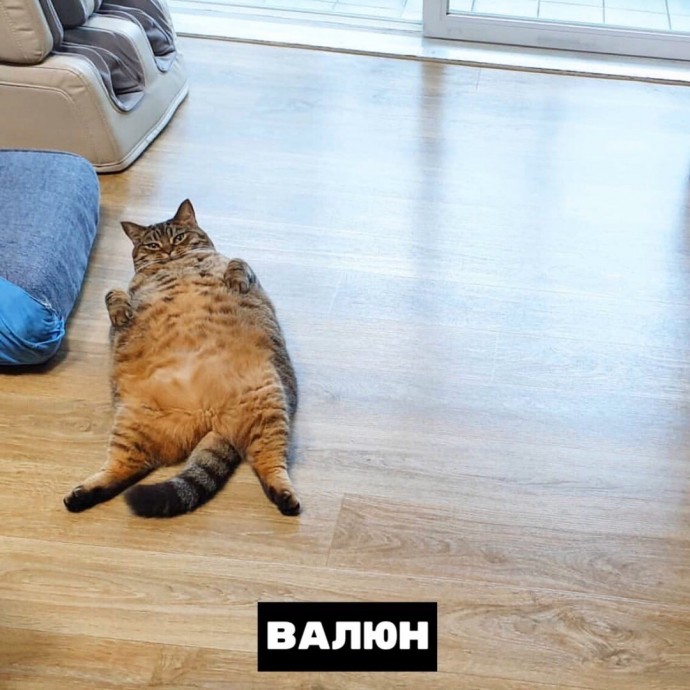 Тотемные животные