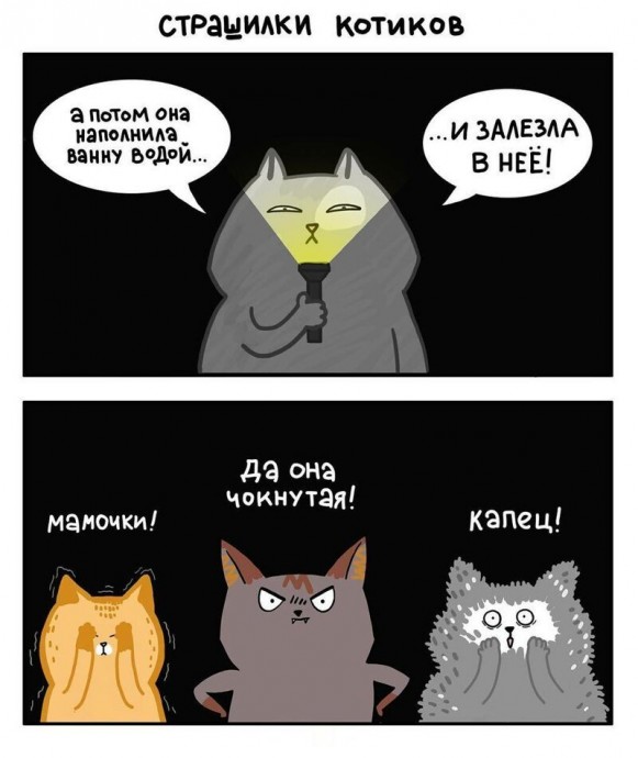 Жизнь с кошкой — это вам не хухры-мухры!