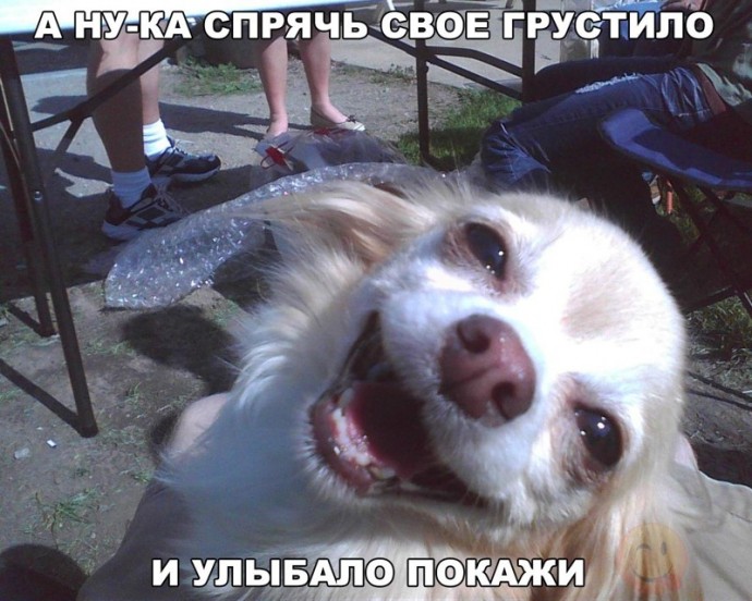 Просто улыбнитесь!