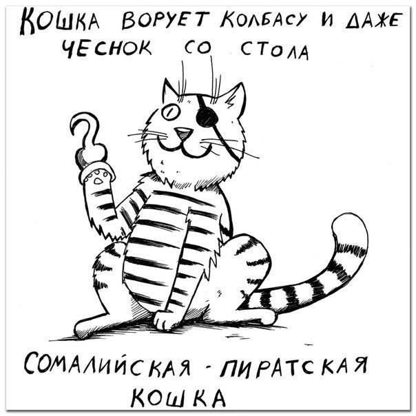 Как определить породу кошки по её характеру