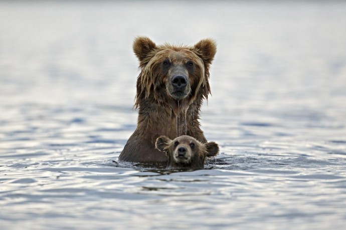 Забавные снимки National Geographic