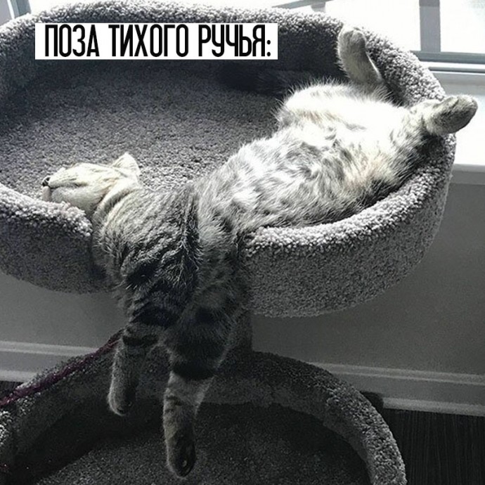 Котойога