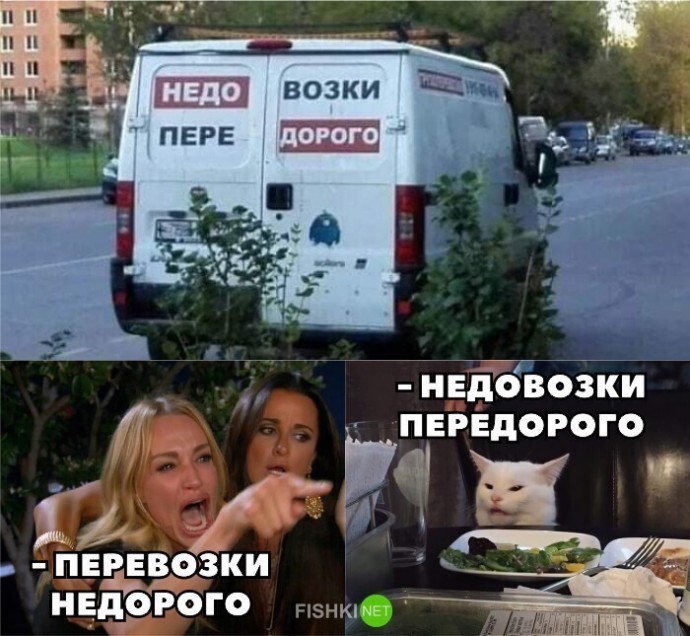 Смешные мемы с котом