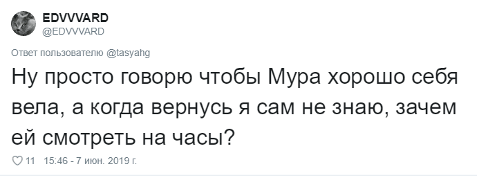 Что говорят своим питомцам перед уходом из дома