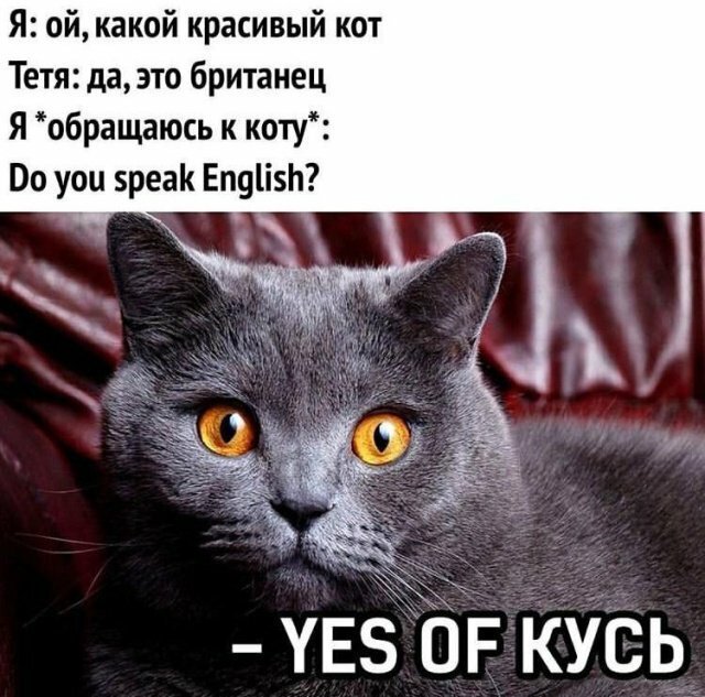 Улыбнитесь