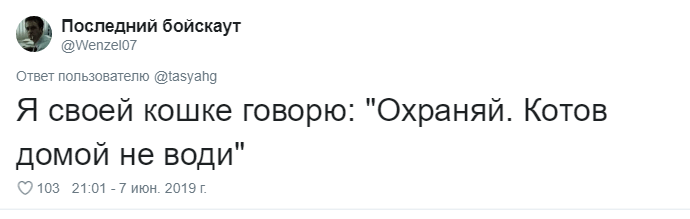 Что говорят своим питомцам перед уходом из дома