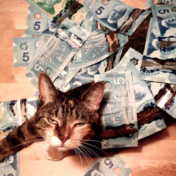 Карты, деньги, два кота!!!