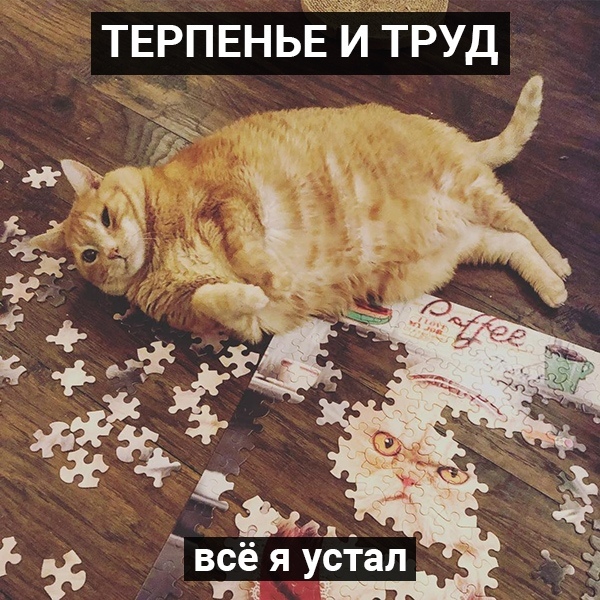 Заряд мотивации