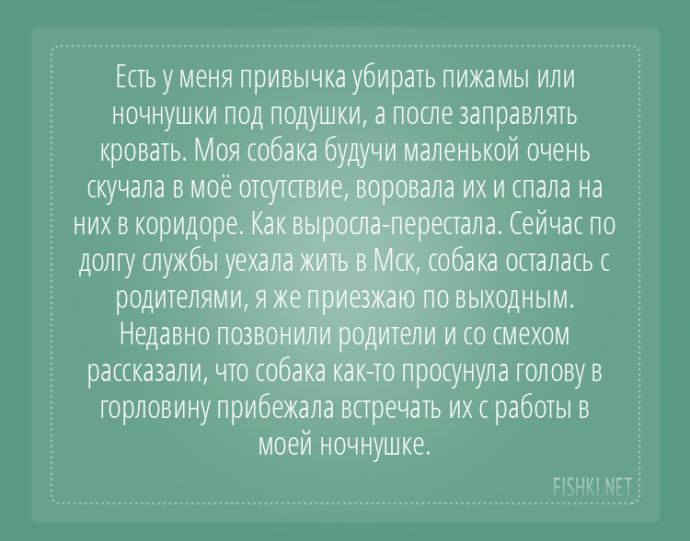 Пользователи интернета поделились забавными историями, которые произошли с их собаками Пользователи интернета поделились забавными историями, которые произошли с их собаками