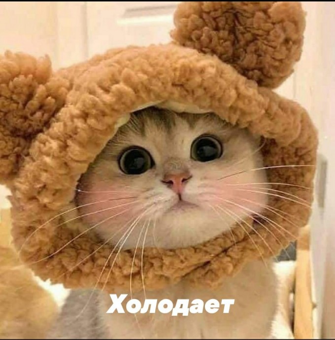 Холодает