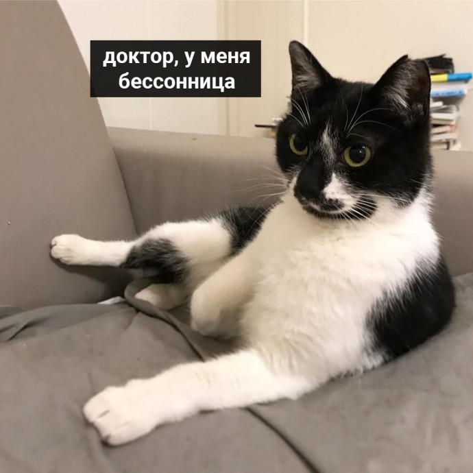 На приёме доктора Котовского