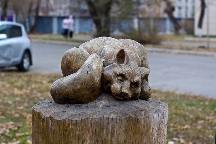 Koтопамятники со всех уголков нашей страны