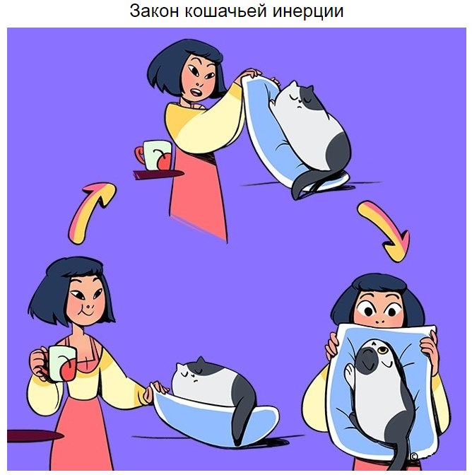 Закон кошачьего тяготения