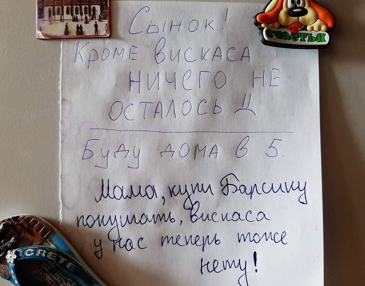 Юморные записки от домашних на холодильнике