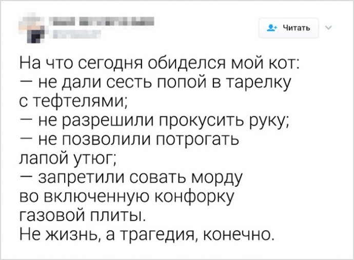 Маленьких обидеть может каждый.