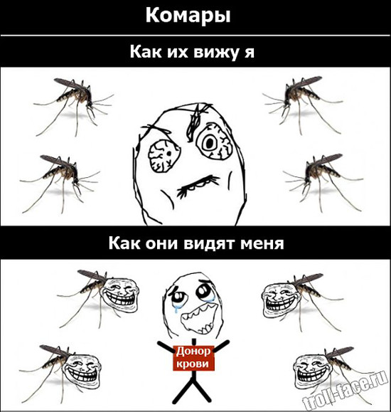 Ох уж эти комары