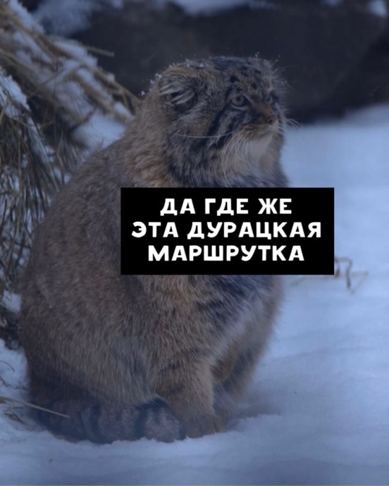 Итак всегда