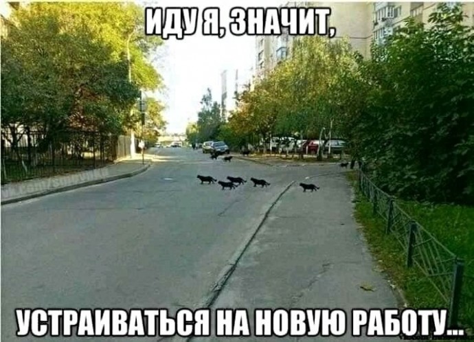 Приколы из соцсетей