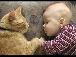 Так уютно спать можно только с котом.