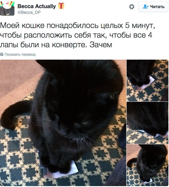 8 твитов, которые доказывают, что в мире гораздо больше добра, чем кажется 8 твитов, которые доказывают, что в мире гораздо больше добра, чем кажется