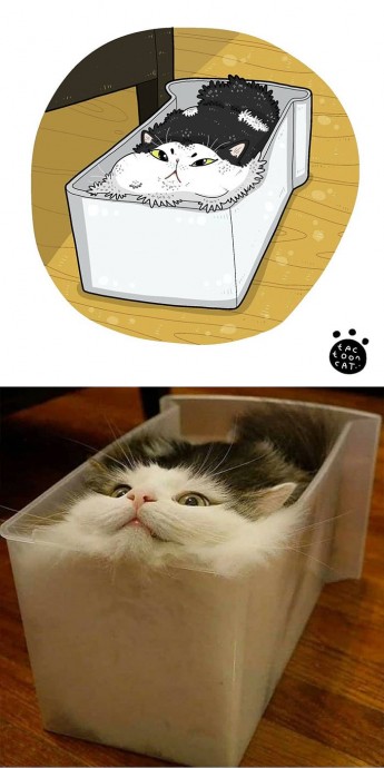 Забавные рисунки по смешным мемам с котами