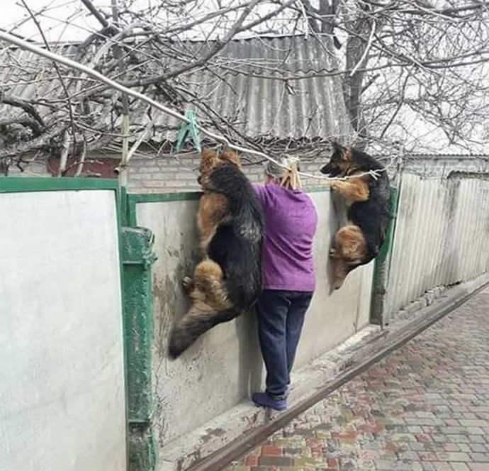 Любoпытныe нocы