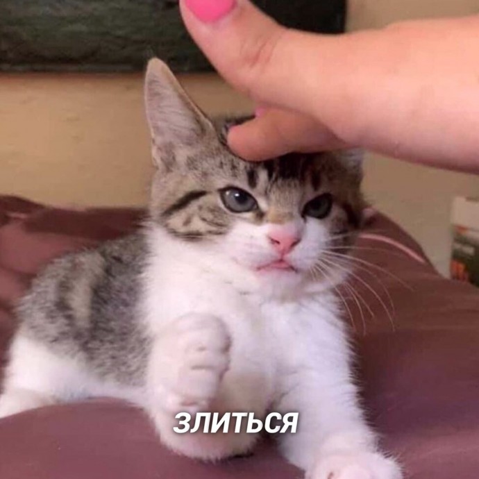 Это те 8 дел, которые я лучше всего делаю и у меня получается ИДЕАЛЬНО! Это те 8 дел, которые я лучше всего делаю и у меня получается ИДЕАЛЬНО!