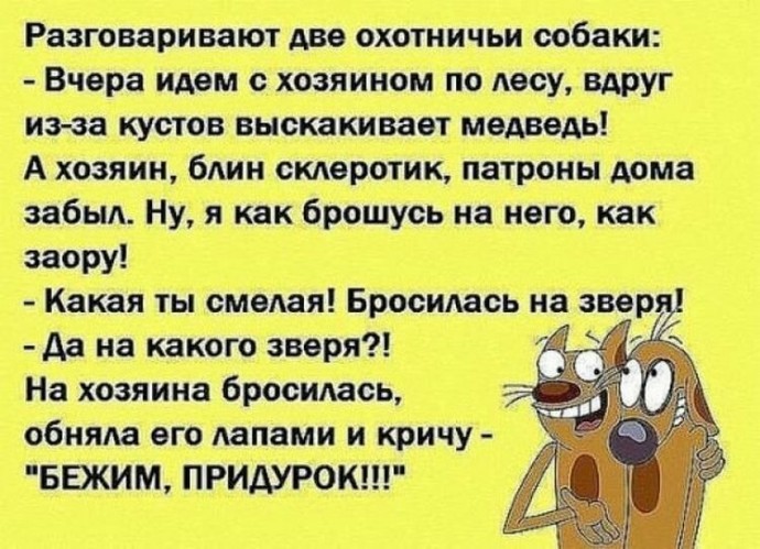 Для тех кто любит просто посмеяться