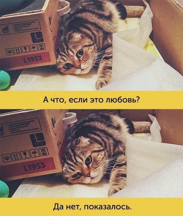 Мимика, которой можно только позавидовать