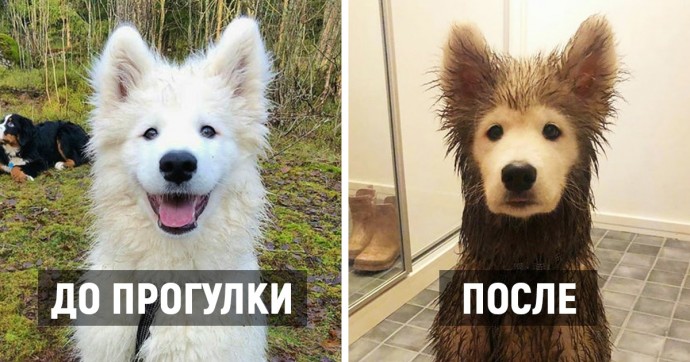 С ними точно не соскучишься