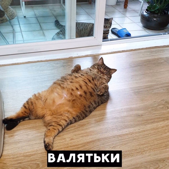 5 особых талантов