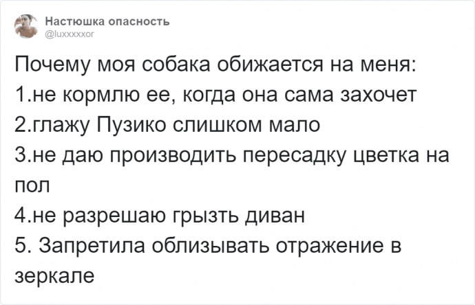 Странности, которые люди запретили собакам, а те обиделись